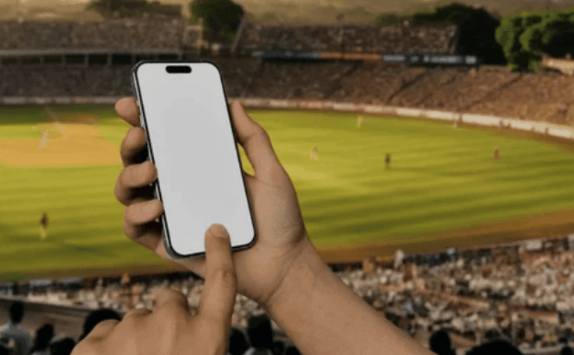 How cricket fans use live pages without rushing the call